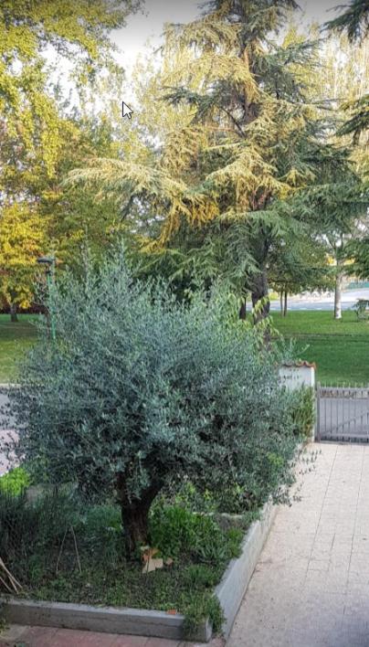 Villa Elsa, Cesena Zona Ippodromo Exterior foto